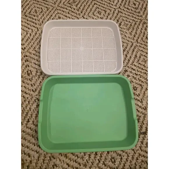 4 Pcs Seed Sprouter Tray with Drain Holes for Microgreens Growing Kit - Picture 4 of 16